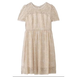 ジルスチュアート(JILLSTUART)の新品タグ付ジルスチュアートjillstuartレースワンピ パーティー(ひざ丈ワンピース)