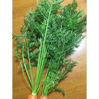 野菜詰め合わせ 自家栽培(野菜)