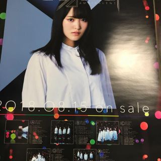 ケヤキザカフォーティーシックス(欅坂46(けやき坂46))の欅坂46 ポスター(アイドルグッズ)