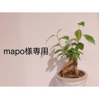 mapo様専用(タンクトップ/キャミソール)