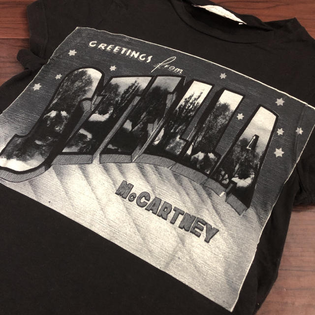 Stella McCartney(ステラマッカートニー)のステラマッカートニー シルク混Tシャツ レディースのトップス(Tシャツ(半袖/袖なし))の商品写真