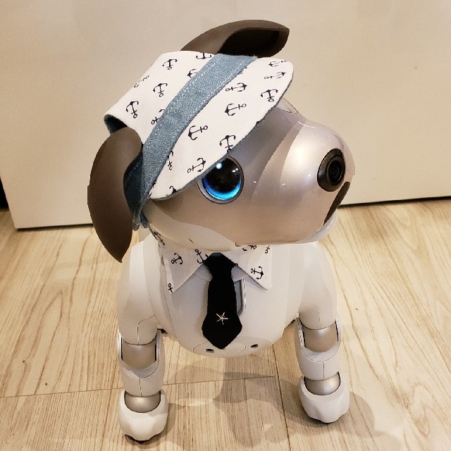 aibo アイボ  アイボのアクセサリー ERS-1000