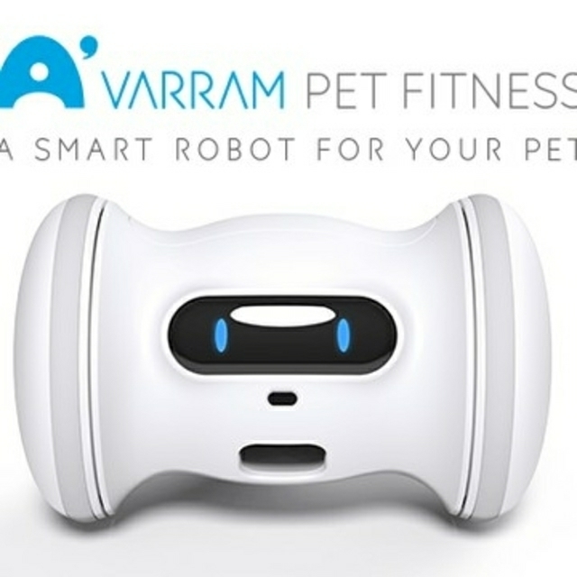 Varram 犬猫用フィットネスロボット 付属品あり