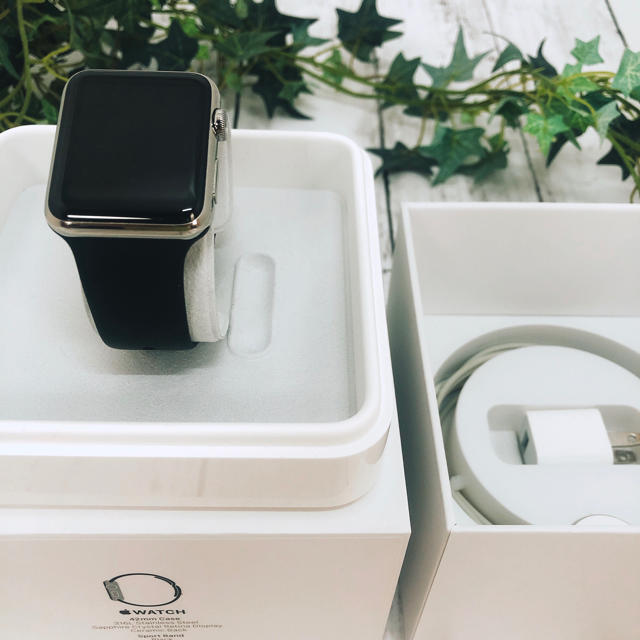 休日限定 Apple Watch Watch Apple ステンレス 42mmstainless アップルウォッチ - その他