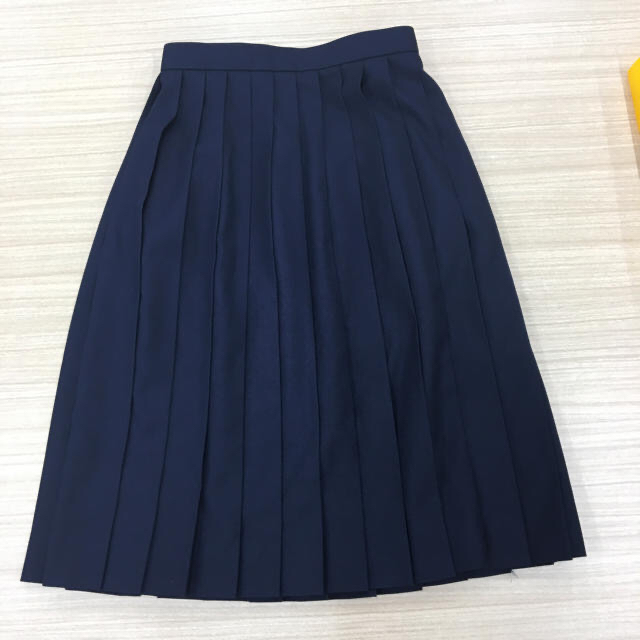 女子 学生 プリーツスカート 超超美品！制服 レディースのスカート(その他)の商品写真