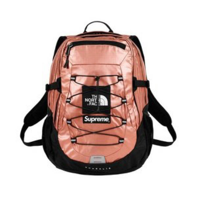 Supreme The NorthFace Metallic Backpack