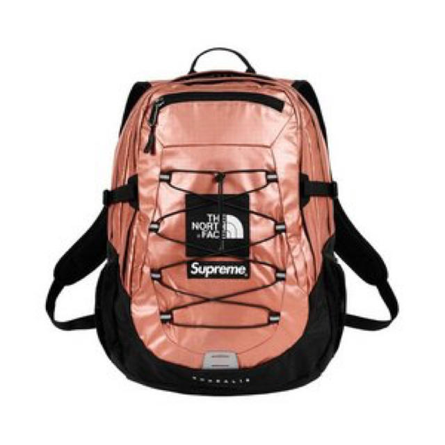 Supreme The NorthFace Metallic Backpack Supreme The NorthFace Metallic Backpack