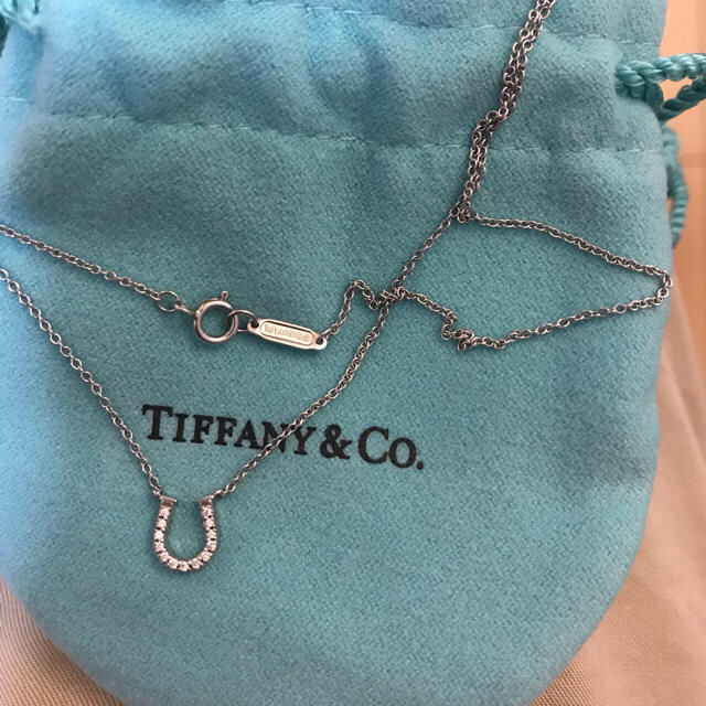 Tiffany & Co. - ティファニー ホースシューネックレス