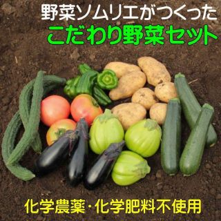 野菜詰め合わせ～夏～【60サイズ】(野菜)