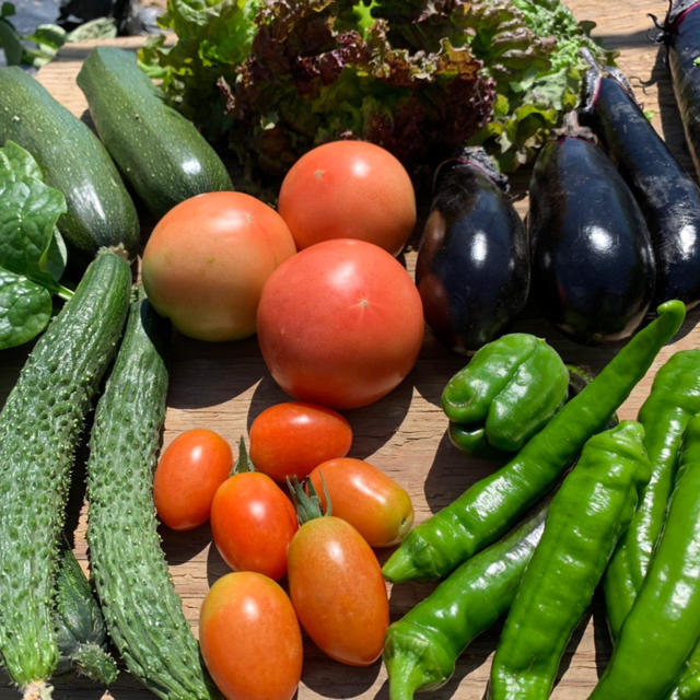 新鮮野菜詰め合わせ！！無農薬、減農薬野菜 京都よりお届け！ 食品/飲料/酒の食品(野菜)の商品写真