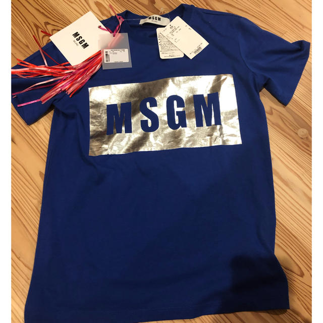 専用  MSGM