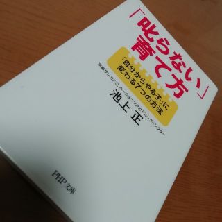 叱らない育て方(ノンフィクション/教養)