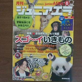 アサヒシンブンシュッパン(朝日新聞出版)のジュニアエラ 2018年8月号 Sexy Zone 菊地風磨(アート/エンタメ/ホビー)