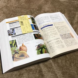 キャンベル生物学の通販 by kn.tt999's shop|ラクマ