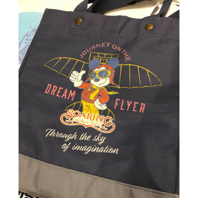 Disney(ディズニー)のシオン様専用 ディズニー ソアリン トートバッグ、シェリーメイぬいぐるみバッジ エンタメ/ホビーのおもちゃ/ぬいぐるみ(キャラクターグッズ)の商品写真