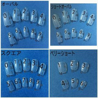 ネイルチップNo.100　¥850 ハンドメイドのアクセサリー(ネイルチップ)の商品写真