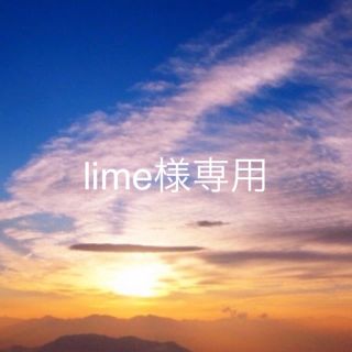 lime様専用(その他)