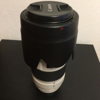 キヤノン(Canon)のEF70-200mm F2.8L IS Ⅱ USM(レンズ(ズーム))