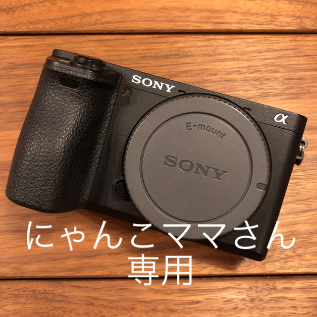 にゃんこママさん専用】SONY α6500 ILCE-6500 即納 www.grupocaht.com