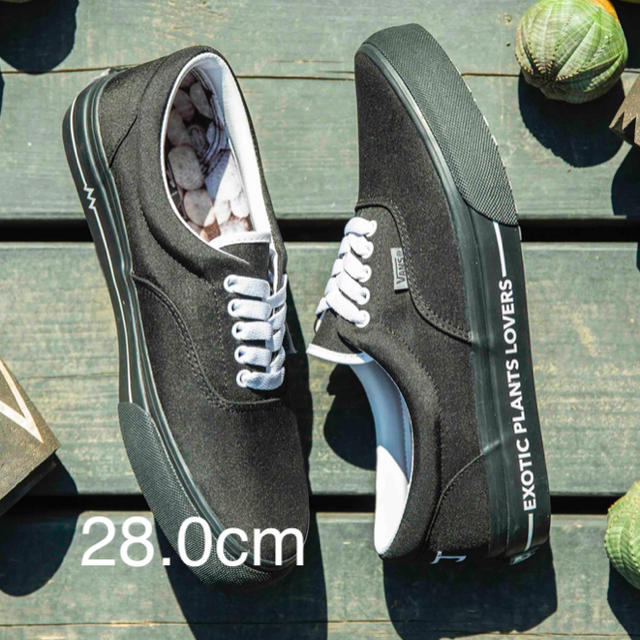 VANS ERA x BOTANIZE 28.0cm靴/シューズ