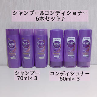 新品 サンシルク 紫 シャンプー＆コンディショナー 6本 セット パープル 紫 (シャンプー)