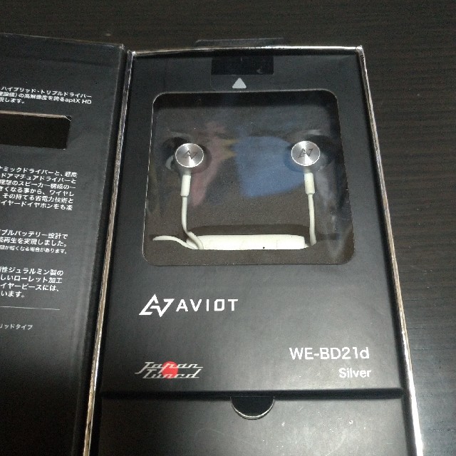 AVIOT WE-BD21d-SL Silver