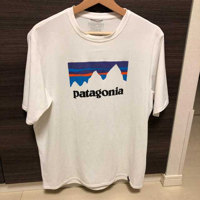 patagonia(パタゴニア)のパタゴニア Tシャツ  メンズのトップス(Tシャツ/カットソー(半袖/袖なし))の商品写真