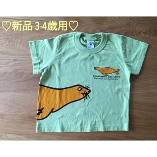 ギャップキッズ(GAP Kids)の【新品未使用】激レア！ ガラパゴス諸島で購入☆ Tシャツ 3-4歳用(Tシャツ/カットソー)