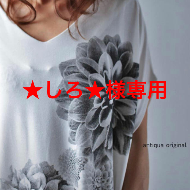 antiqua(アンティカ)の専用☆アンティカ ダリア 花柄 トップス Ｔシャツ2枚♪ レディースのトップス(Tシャツ(半袖/袖なし))の商品写真