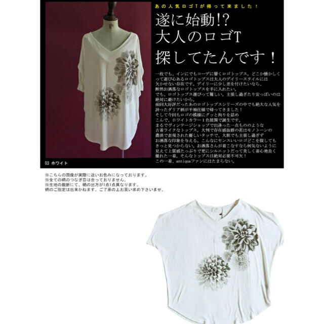 antiqua(アンティカ)の専用☆アンティカ ダリア 花柄 トップス Ｔシャツ2枚♪ レディースのトップス(Tシャツ(半袖/袖なし))の商品写真