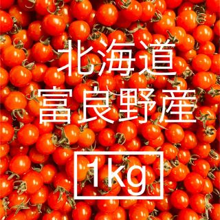 お値下げ！北海道・富良野産 今が旬の！ミニトマト1kg(野菜)