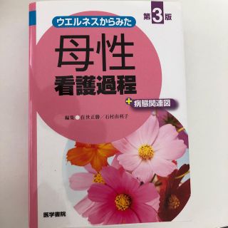 母性看護過程(健康/医学)