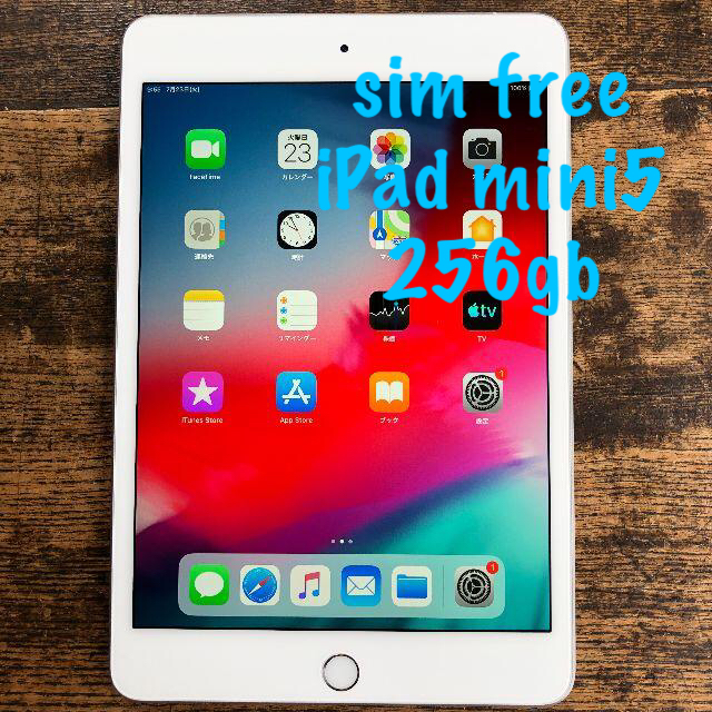 ⑰ SIMフリー iPad mini5 wifi 256gb