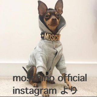 モスキーノ(MOSCHINO)のMOSCHINO H&M コラボ 首輪 リード　チョーカー(ネックレス)