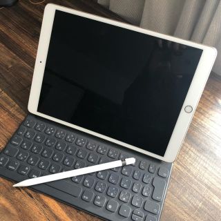 Pad Pro 10.5 セット wi-fiモデル 256GB