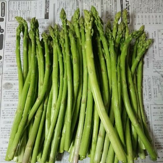 佐賀県産グリーンアスパラ1.8キロ(訳あり)(野菜)