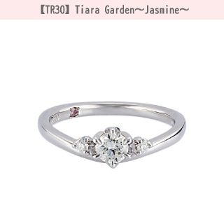 Samantha Tiara 専用