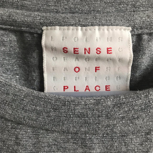 SENSE OF PLACE by URBAN RESEARCH(センスオブプレイスバイアーバンリサーチ)のTCF ラメラウンドネックTシャツ(5分袖) レディースのトップス(Tシャツ(半袖/袖なし))の商品写真