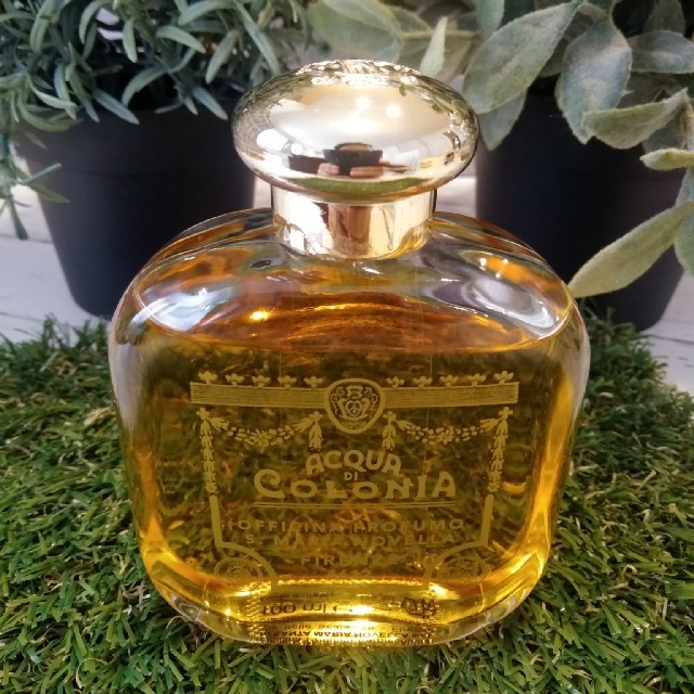 Santa Maria Novella(サンタマリアノヴェッラ)のサンタマリアノヴェッラ オーデコロン　ジャスミン

 コスメ/美容の香水(ユニセックス)の商品写真