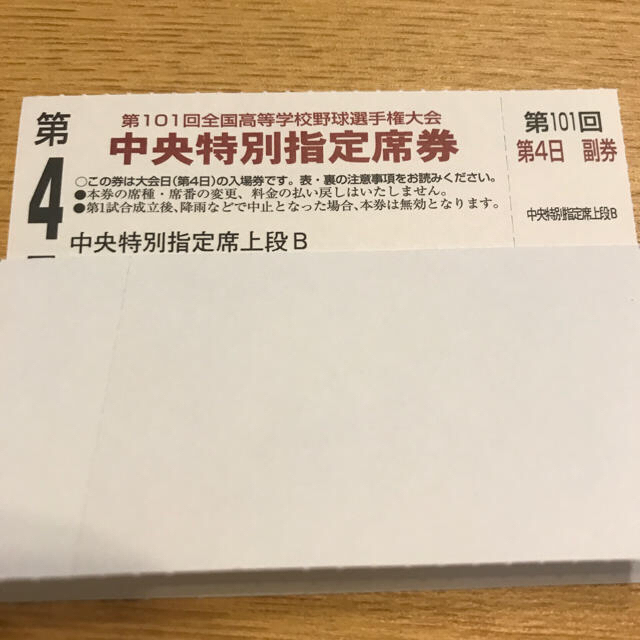 高校野球 チケット 中央特別Ｂ（1枚）第101回全国高校野球選手権大会