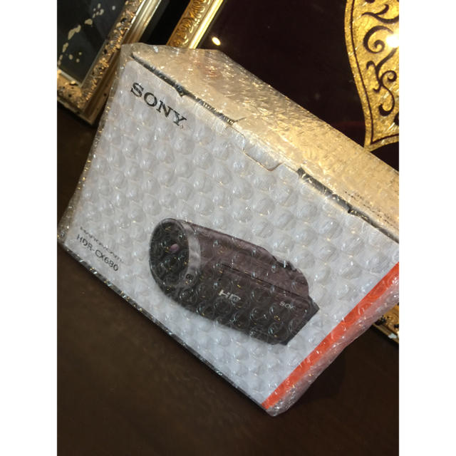 スマホ/家電/カメラSONY ビデオカメラ HDR-CX680