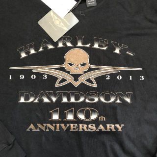 ハーレーダビッドソン(Harley Davidson)のHARLEY 110周年　スカル　ロング　Tシャツ　メンズ　US　Lサイズ　長袖(Tシャツ/カットソー(七分/長袖))