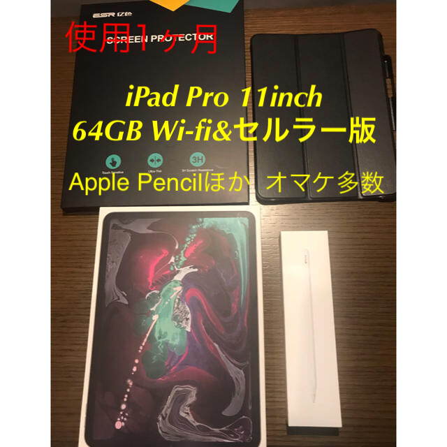 iPad pro 11-inch 64GB セルラー版 ペンシル2、その他オマケ