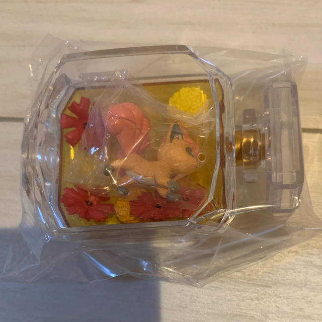 ハクリュー様 専用 ❤️在庫限り特価品❤️ www.bit-edu.hu