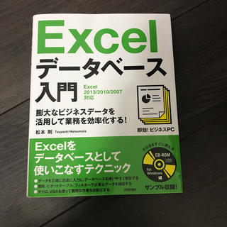 Excelデータベース入門(コンピュータ/IT)