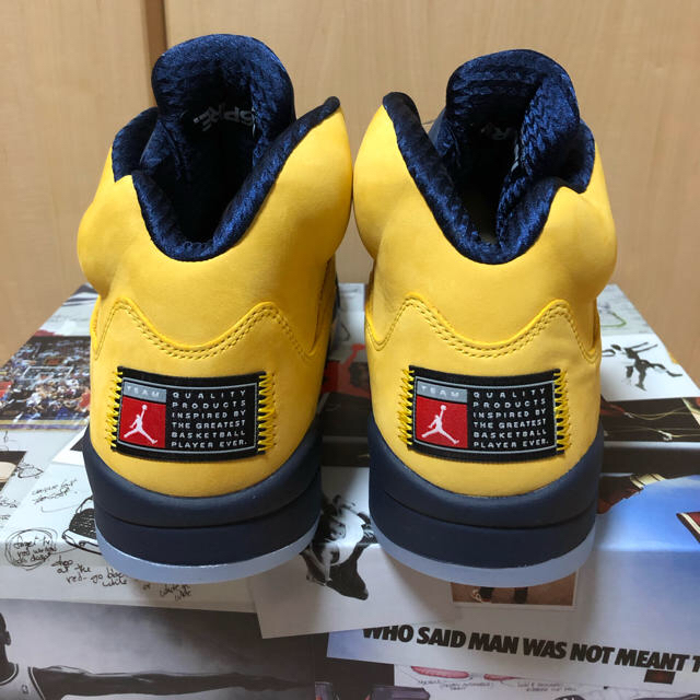 29.0 NIKE AIR JORDAN 5 MICHIGAN