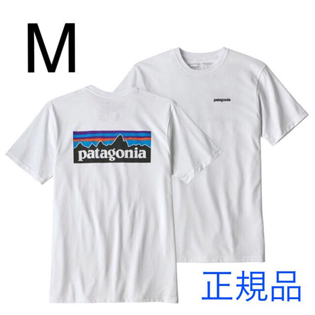 最新2019 パタゴニア Tシャツ 新品 2着同梱版