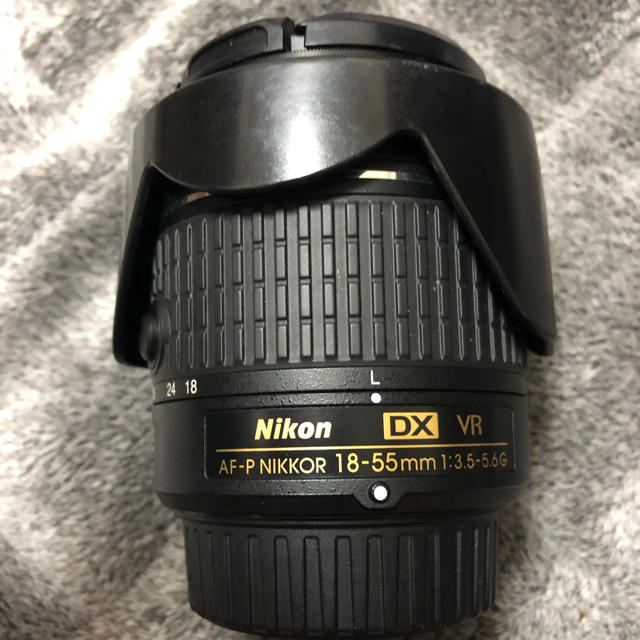 AF-P DX NIKKOR 18-55mm f/3.5-5.6G VR