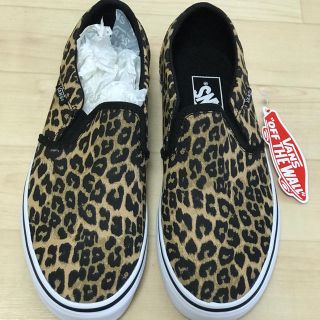 ヴァンズ(VANS)のVANS ASHER LEO ヴァンズ(スニーカー)