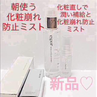 アモーレパシフィック(AMOREPACIFIC)の朝夜の化粧崩れ防止ミスト モイスチャー パウンドミスト メイクアップ ミスト(その他)